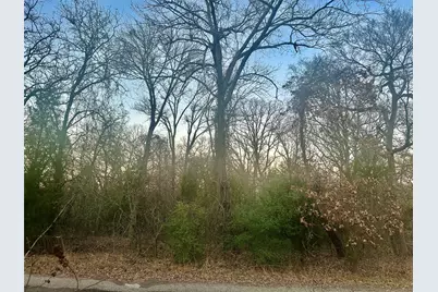 0 Daniel Boone Lane, Log Cabin, TX 75148 - Photo 3