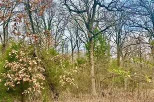 0 Daniel Boone Ln, Log Cabin, TX 75148 - Photo 1