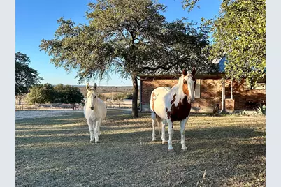 3718 Highway 36 W, Rising Star, TX 76471 - Photo 29
