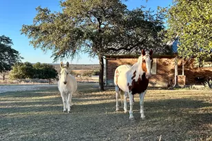 3718 Hwy 36 W, Rising Star, TX 76471 - Photo 29