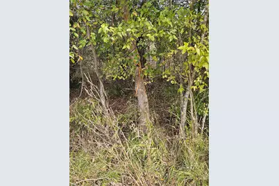 0 U S Hwy 175, Eustace, TX 75124 - Photo 11