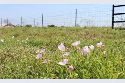Tbd Terry Lane #5.2 acres, Sherman, TX 75092 - Photo 27