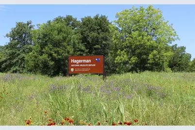 Tbd Terry Lane #5.2 acres, Sherman, TX 75092 - Photo 31