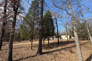 103 Elm St, Mabank, TX 75156 - Photo 3