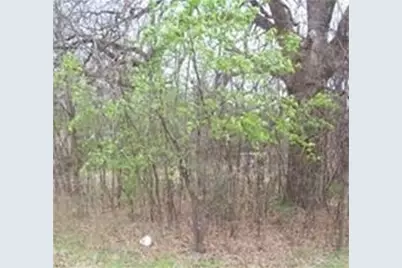 164 Sioux Drive, Gordonville, TX 76245 - Photo 3