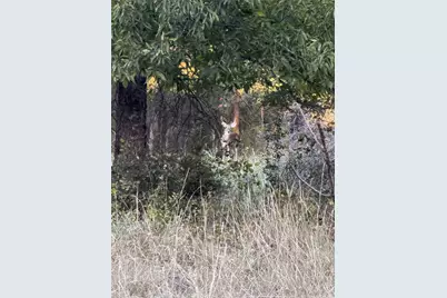 213 Pr 1743B, Clifton, TX 76634 - Photo 13