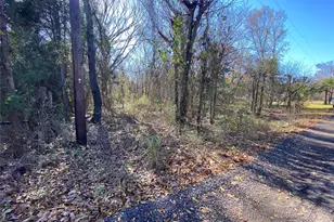 Tbd Cr 2045, Klondike, TX 75448 - Photo 1