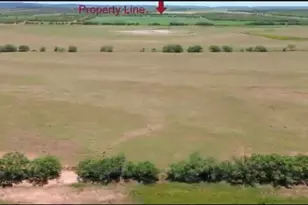 3278 FM1770, Winters, TX 79567 - Photo 3