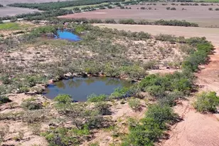 3278 FM1770, Winters, TX 79567 - Photo 9