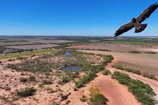 3278 FM1770, Winters, TX 79567 - Photo 11