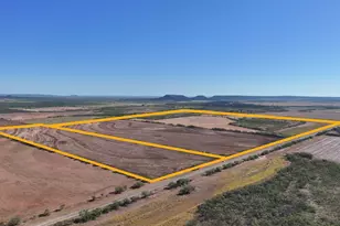 3278 FM1770, Winters, TX 79567 - Photo 5