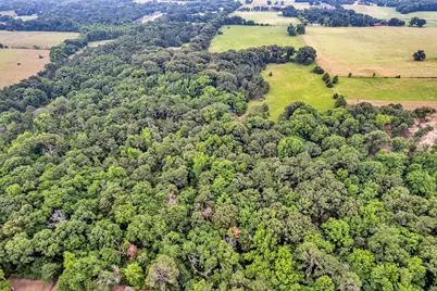 15000 County Road 472 #44 Acres, Tyler, TX 75706 - Photo 3