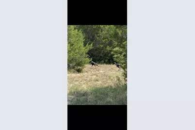 Ranch 41 County Road 208, Hico, TX 76457 - Photo 13