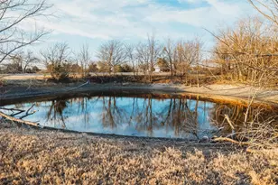 6078 E Line Rd, Whitewright, TX 75491 - Photo 27