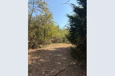 Tbd County Road 4744, Sulphur Springs, TX 75482 - Photo 19