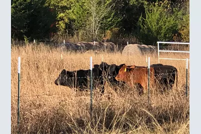 5016 Fm 121, Van Alstyne, TX 75495 - Photo 5