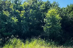 1277 Paint Brush Ct, Whitney, TX 76692 - Photo 1