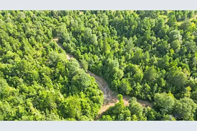 Tbd S Live Oak, Gilmer, TX 75644 - Photo 11