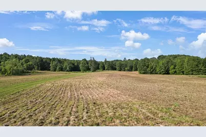 Tbd S Live Oak, Gilmer, TX 75644 - Photo 13