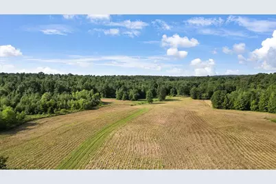 Tbd S Live Oak, Gilmer, TX 75644 - Photo 3