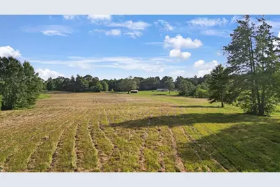 Tbd S Live Oak, Gilmer, TX 75644 - Photo 15