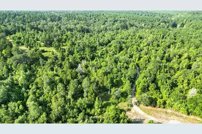 Tbd S Live Oak, Gilmer, TX 75644 - Photo 9