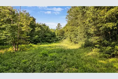 Tbd S Live Oak, Gilmer, TX 75644 - Photo 17