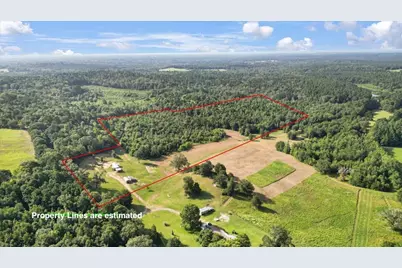 Tbd S Live Oak, Gilmer, TX 75644 - Photo 5