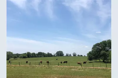 3739 W Fm 515, Como, TX 75431 - Photo 5