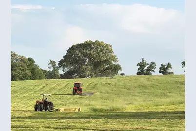 3739 W Fm 515, Como, TX 75431 - Photo 7