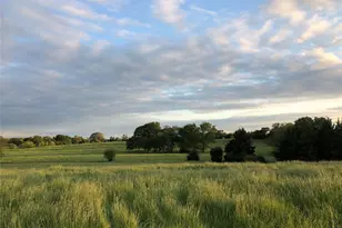 3739 W Fm 515, Como, TX 75431 - Photo 1