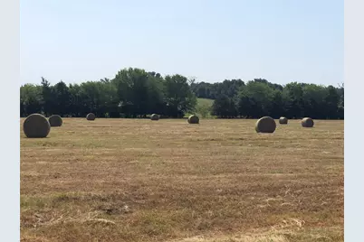 3739 W Fm 515, Como, TX 75431 - Photo 15