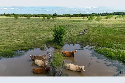 Tbd Cr 166, Callisburg, TX 76273 - Photo 3