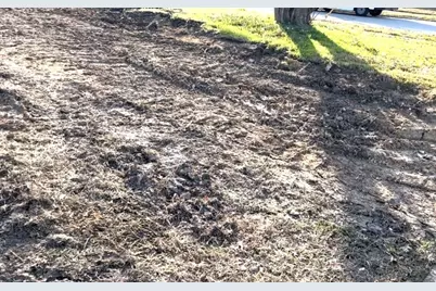 3528 Sheryl Drive, Mesquite, TX 75150 - Photo 7