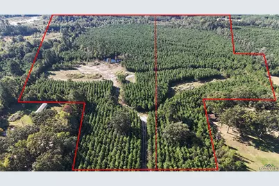 28 Ac Tbd Fm 726, Jefferson, TX 75657 - Photo 1