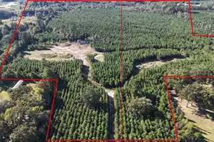 28 Ac Tbd Fm 726, Jefferson, TX 75657 - Photo 1