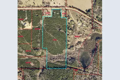 28 Ac Tbd Fm 726, Jefferson, TX 75657 - Photo 3