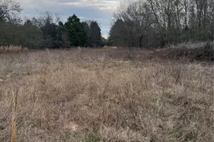 10230 Pr 5403, Malakoff, TX 75148 - Photo 13