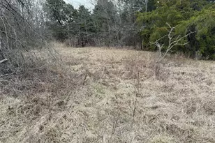 10230 Pr 5403, Malakoff, TX 75148 - Photo 9