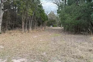 10230 Pr 5403, Malakoff, TX 75148 - Photo 5