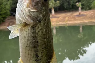 2599 Co Rd 2510, Quinlan, TX 75474 - Photo 37