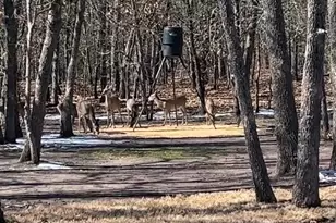 2599 Co Rd 2510, Quinlan, TX 75474 - Photo 39