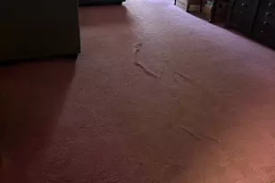 2517 Utilis St, Greenville, TX 75401 - Photo 15