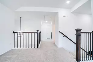 1409 Ladys Mantle Wy, Celina, TX 75078 - Photo 19