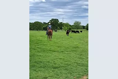 1366 Hcr 1414, Covington, TX 76636 - Photo 39