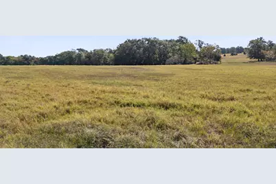 1133 Vz County Road 2413, Canton, TX 75103 - Photo 29