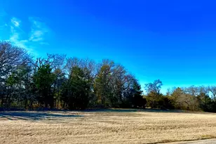 Lot 15 Dublin Circle, Gordonville, TX 76245 - Photo 1