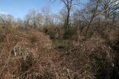 Tbd Vz County Road 1905, Edgewood, TX 75117 - Photo 3