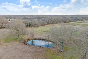 9216 Farm Rd 195, Paris, TX 75462 - Photo 29