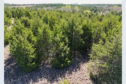 Tbd County Road 670, Blue Ridge, TX 75424 - Photo 3